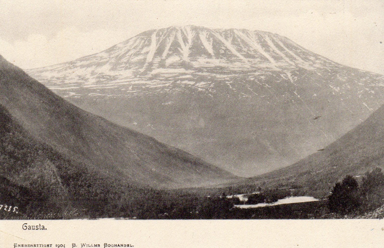 Willms Boghandel 1904 Gausta 