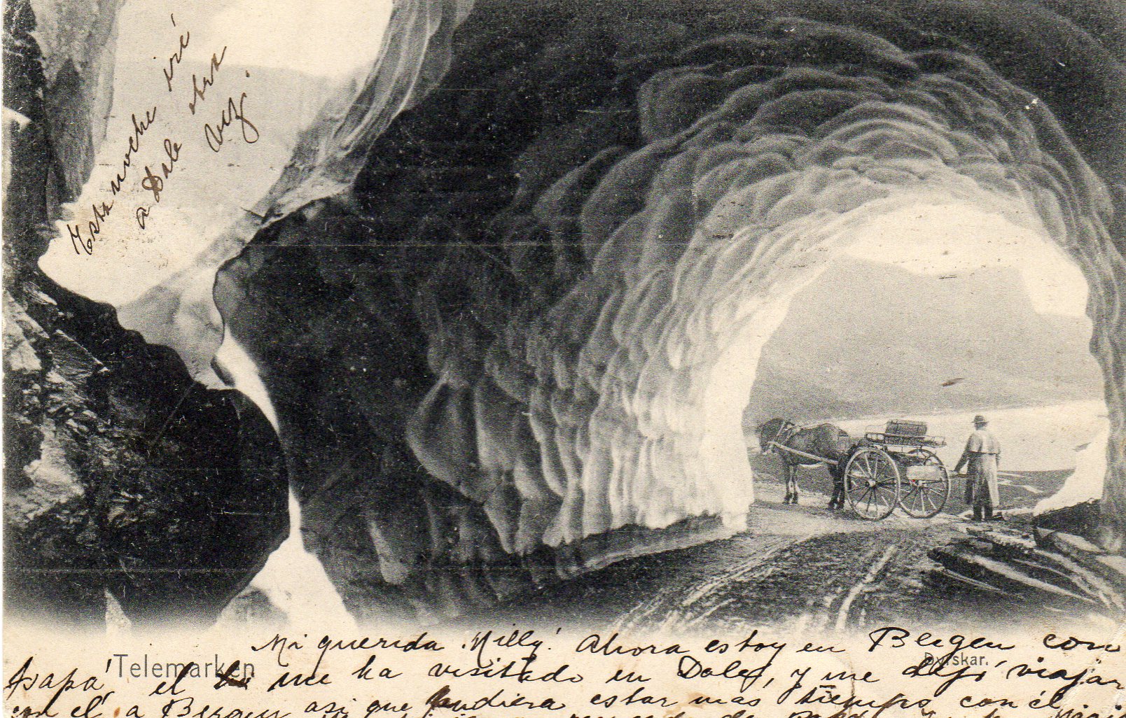 Dyrskar Telemarken GH 505