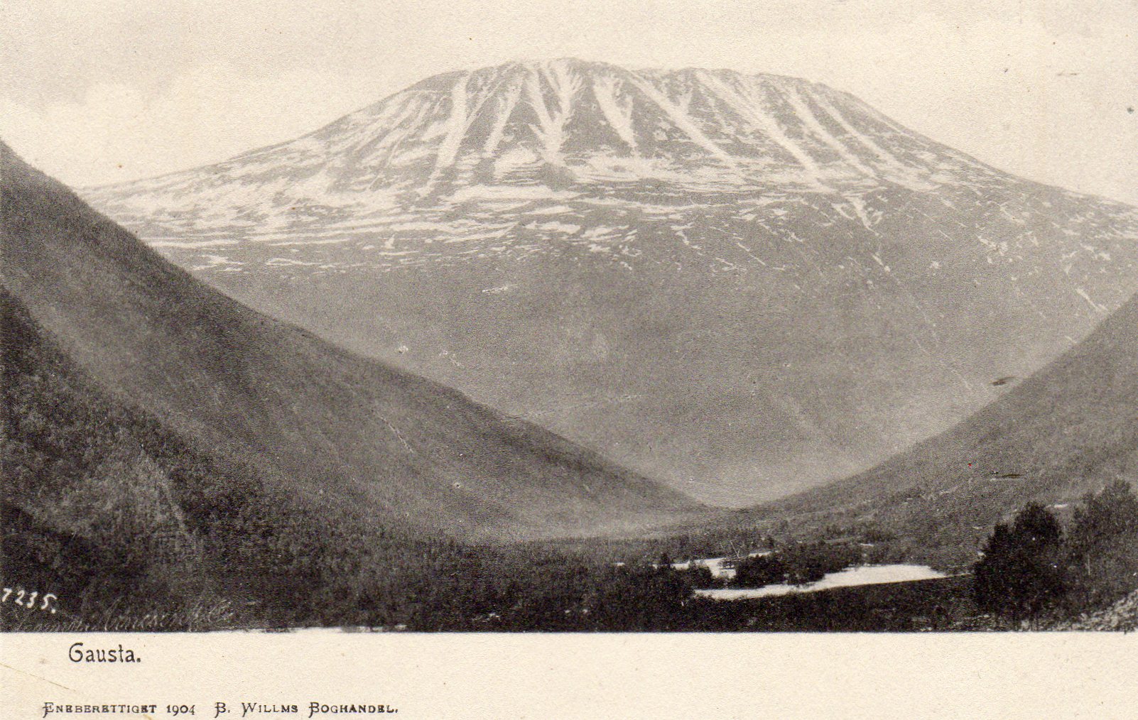 Gausta Williams 1904 7235