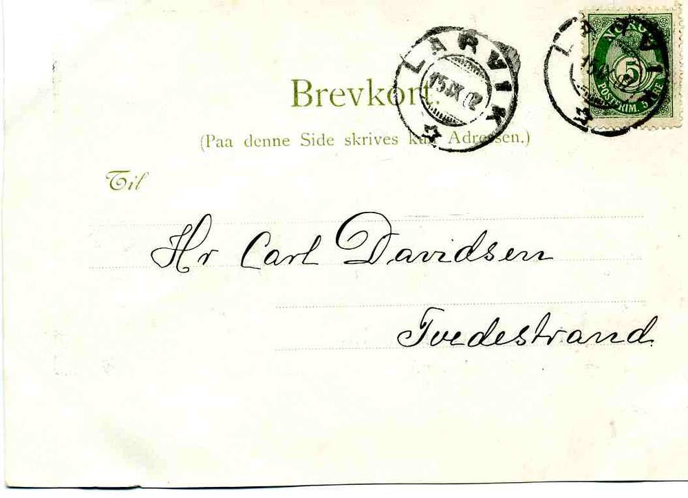 Hilsen fra Larvik Bøgeskogen st larvik 1902