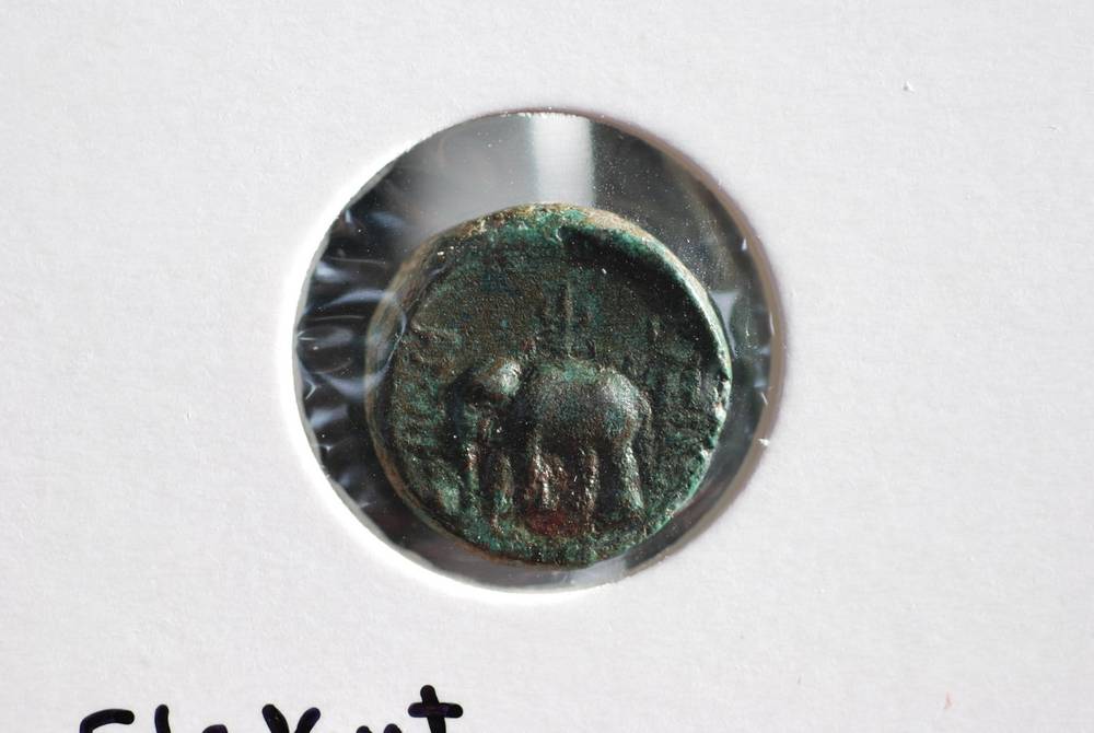 Græsk bronsemynt År 200-120 f.Kr. 13mm 2.25g Byste av Apollo revers Elefant