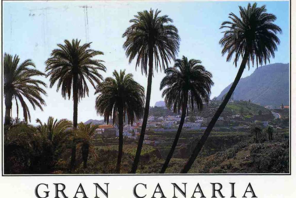 Gran Canaria  032 Paisaje Canario  M B Auyanet st Las palmas 1999