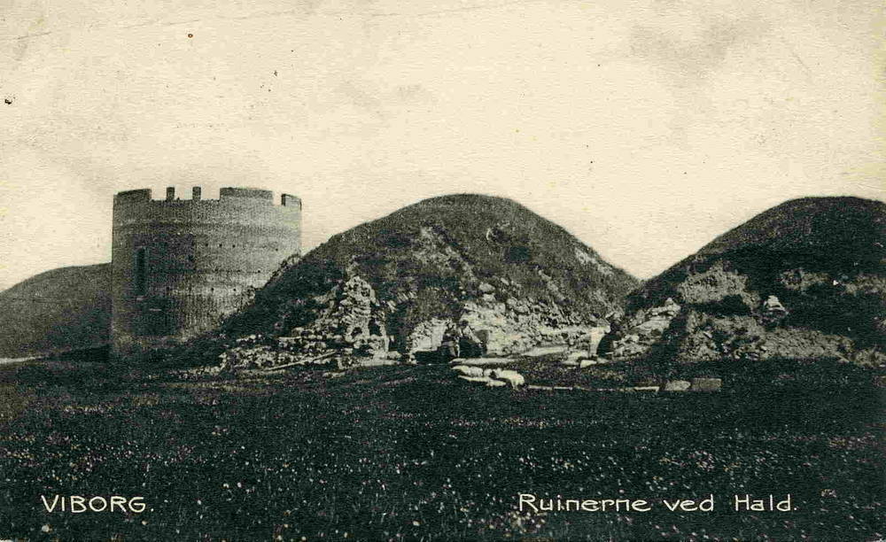 Viborg Ruinerne ved Hald Stender 1907