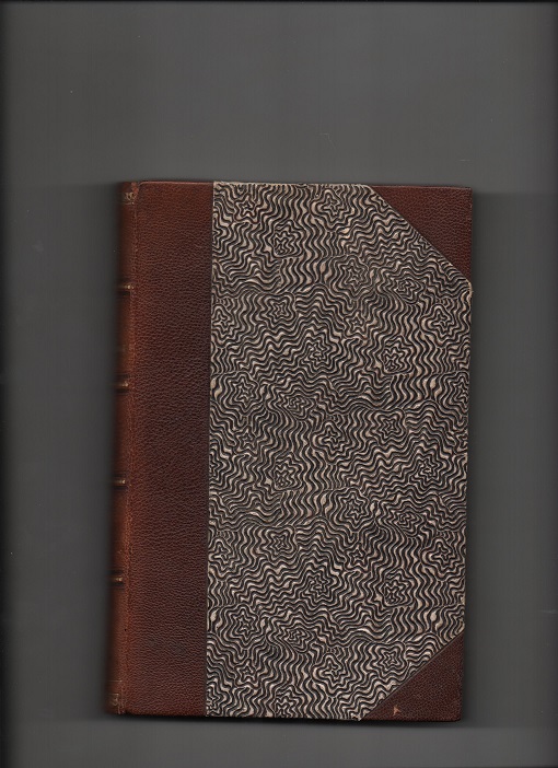 En Palæstinafærd - Reisebilleder og skildringer fra Østerlandene, J. Amundsen, Olsens Bogtrykkeri 1894 B N