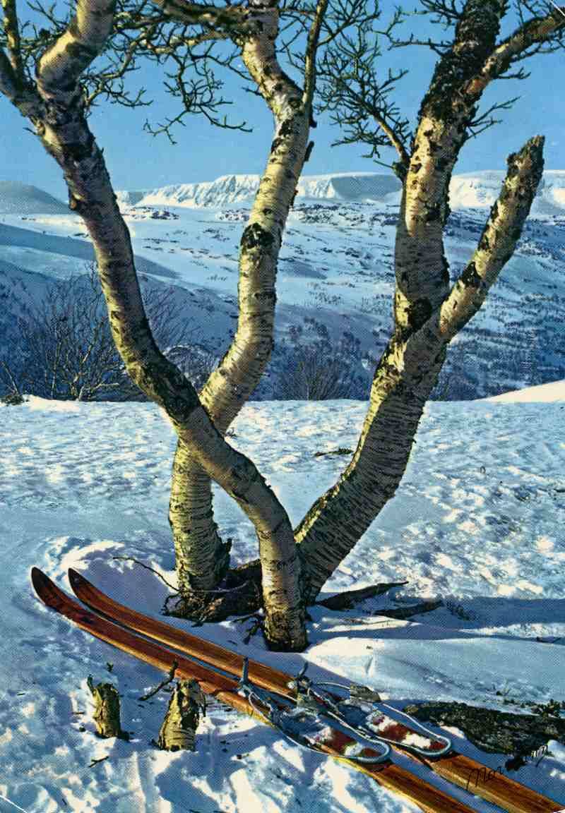 Fra høyfjellet  No;V 501